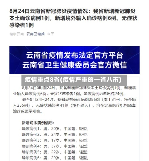 疫情重点8省(疫情严重的一省八市)