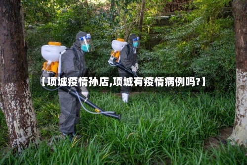 【项城疫情孙店,项城有疫情病例吗?】-第1张图片