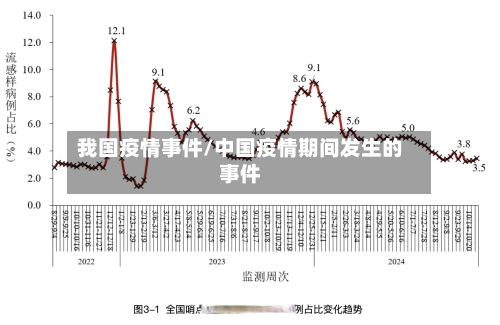 我国疫情事件/中国疫情期间发生的事件