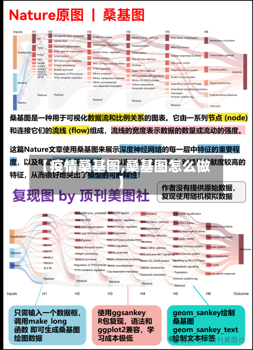 【疫情桑基图,桑基图怎么做】
