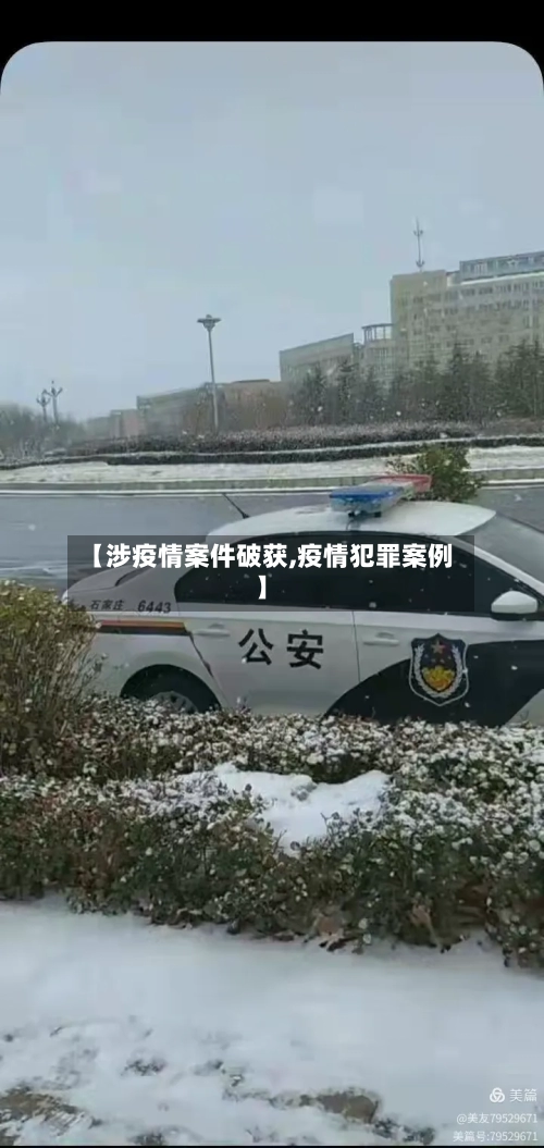 【涉疫情案件破获,疫情犯罪案例】-第2张图片