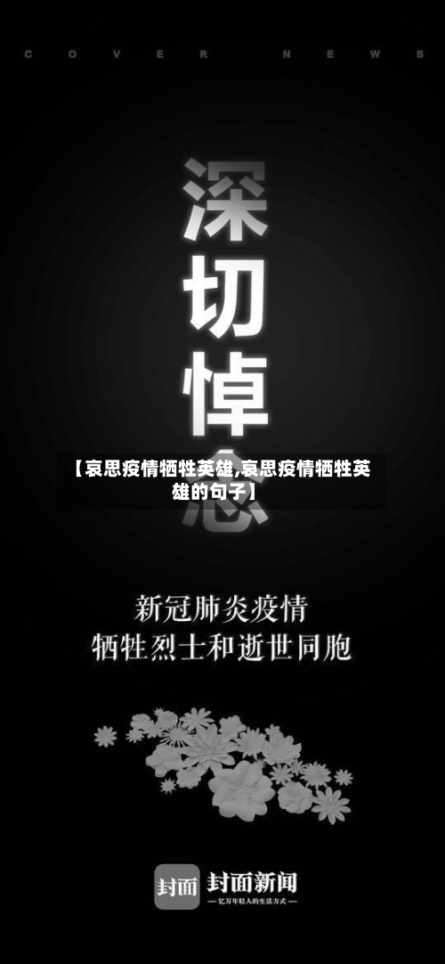 【哀思疫情牺牲英雄,哀思疫情牺牲英雄的句子】-第3张图片