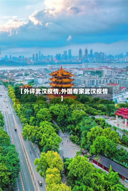 【外评武汉疫情,外国专家武汉疫情】-第1张图片