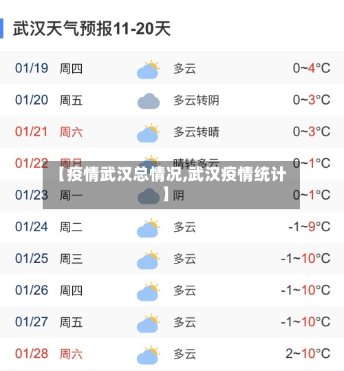 【疫情武汉总情况,武汉疫情统计】-第1张图片