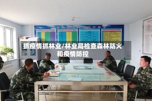 抓疫情抓林业/林业局检查森林防火和疫情防控-第1张图片