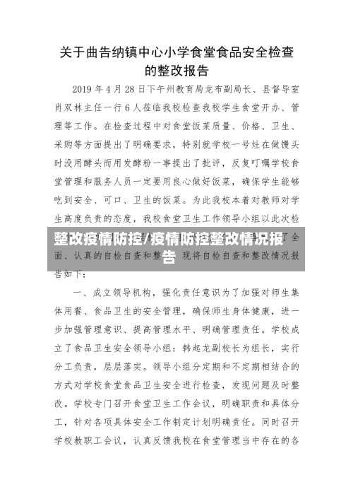整改疫情防控/疫情防控整改情况报告-第1张图片
