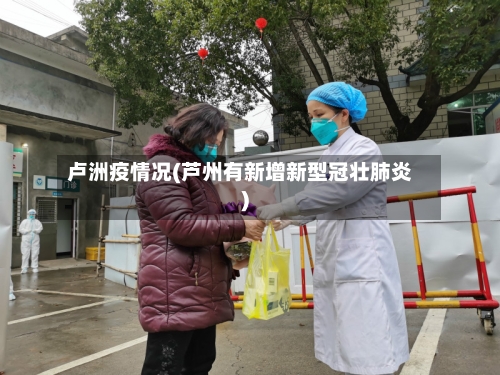 卢洲疫情况(芦州有新增新型冠壮肺炎)-第2张图片