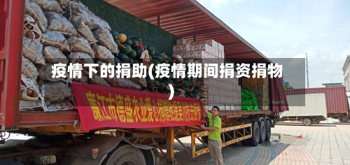 疫情下的捐助(疫情期间捐资捐物)-第2张图片