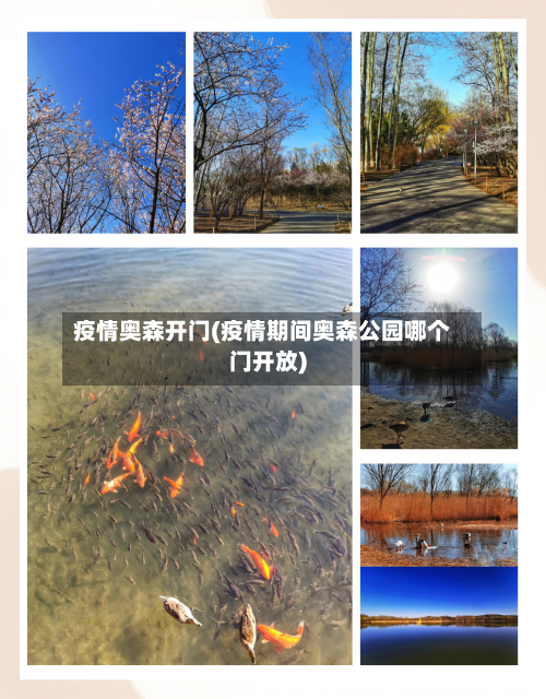 疫情奥森开门(疫情期间奥森公园哪个门开放)-第1张图片