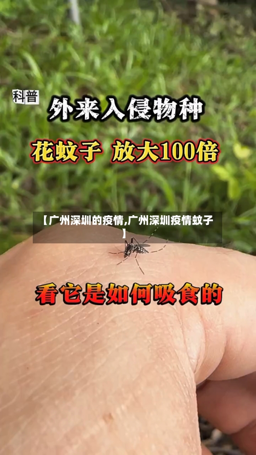 【广州深圳的疫情,广州深圳疫情蚊子】-第1张图片