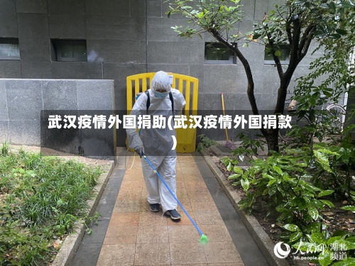 武汉疫情外国捐助(武汉疫情外国捐款)-第1张图片