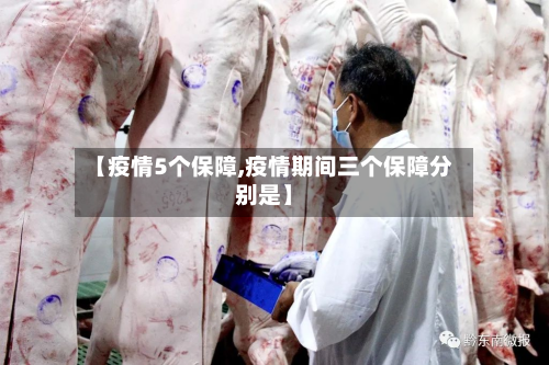 【疫情5个保障,疫情期间三个保障分别是】-第1张图片