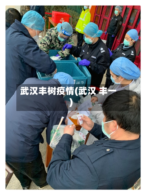 武汉丰树疫情(武汉 丰一)-第2张图片