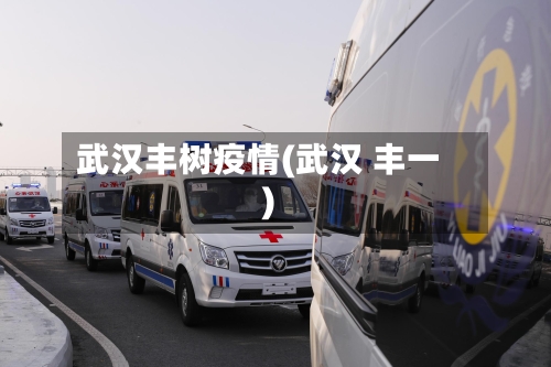 武汉丰树疫情(武汉 丰一)-第1张图片