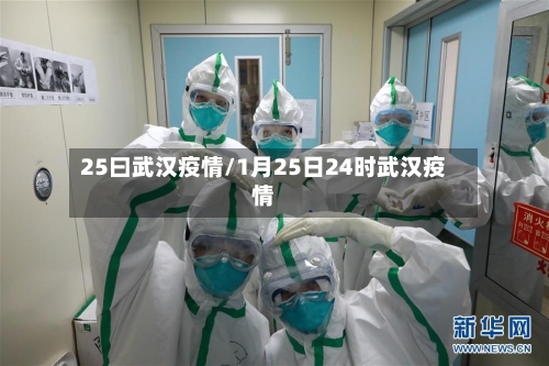 25曰武汉疫情/1月25日24时武汉疫情-第1张图片