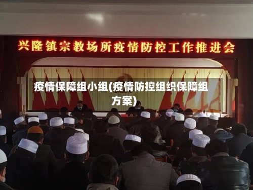疫情保障组小组(疫情防控组织保障组方案)-第1张图片