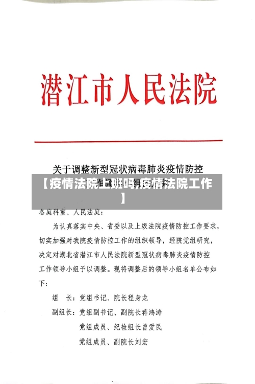 【疫情法院上班吗,疫情法院工作】-第2张图片