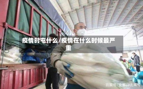 疫情时屯什么/疫情在什么时候最严重-第2张图片