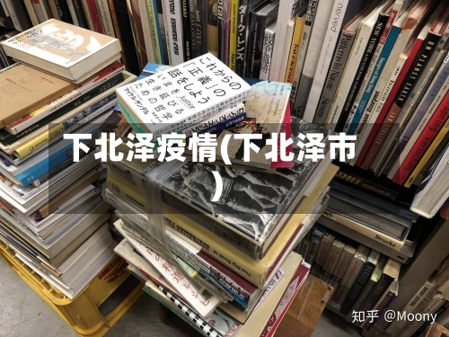 下北泽疫情(下北泽市)-第1张图片