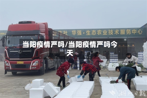 当阳疫情严吗/当阳疫情严吗今天-第2张图片