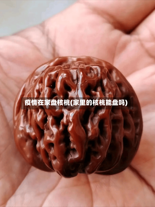 疫情在家盘核桃(家里的核桃能盘吗)-第2张图片