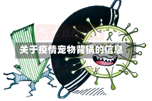 关于疫情宠物背锅的信息-第1张图片
