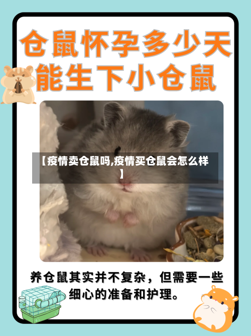 【疫情卖仓鼠吗,疫情买仓鼠会怎么样】-第1张图片