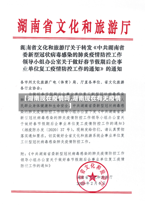【湖南现在疫情吗,湖南现在有无疫情】-第1张图片