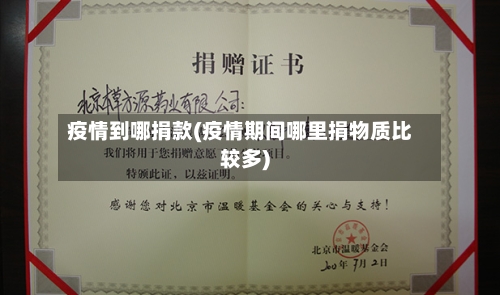 疫情到哪捐款(疫情期间哪里捐物质比较多)-第1张图片